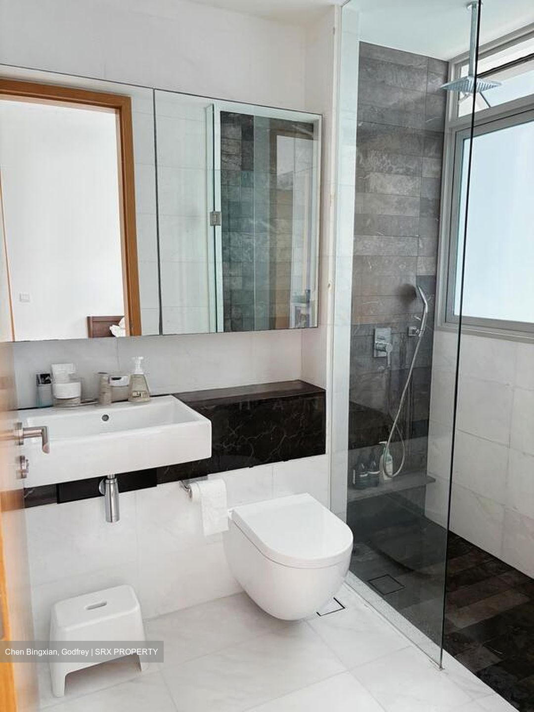 RV Residences (D10), Condominium #517511061